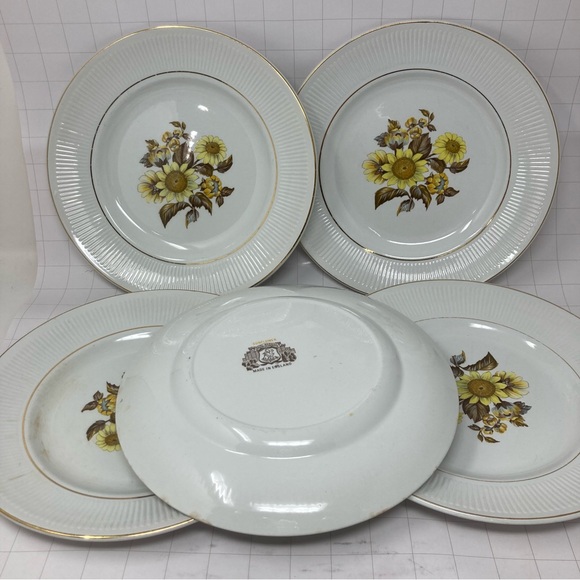 Five Royal Warwick Sunflower 10” dinner plates England sunflower print on white - Picture 4 of 8